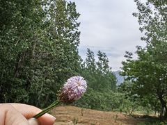 -沂蒙山旅游区云蒙景区(蒙山国家森林公园)