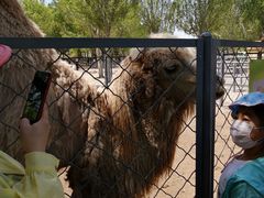 -长白岛森林公园