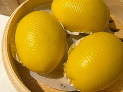 流沙包-点都德·毕德寮