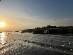-黄沙古渡原生态旅游区