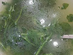-三锅莊·牦牛肉火锅·香格里拉特色藏餐宴请餐厅(昆明创始店)