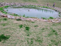 -滆湖低碳生态公园