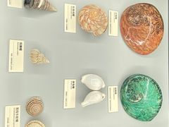 -天津古林古海岸遗迹博物馆