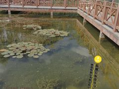 -丰台科技园生态主题公园