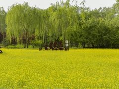-北坞公园