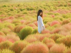 -映月湖中央公园