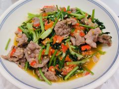 香菜炒牛肉-壹盏灯(蚂蚁工房店)