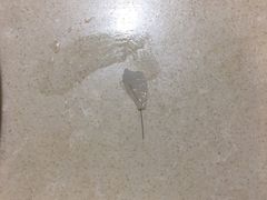 -舊街坊茶楼(市二宫店)