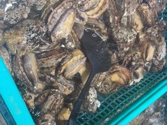 -丰卓会海鲜自助(中润大道店)