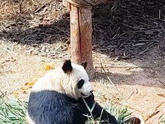 -青藏高原野生动物园