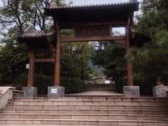 -阳台山自然风景区