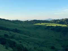 -大姆山草场
