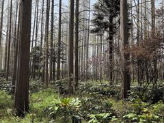 -上海怡沁园度假酒店