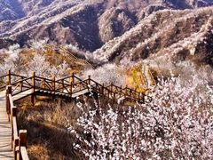 -大岭沟猕猴桃谷风景区