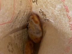-衢州杨家巷烤饼(国金中心店)