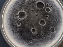 -首开·龙湖成都西宸天街