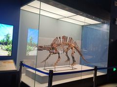 -湖南省地质博物馆