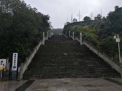 -铁山坪森林公园