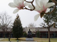 -国家图书馆·古籍馆