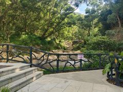 -梧桐山风景名胜区