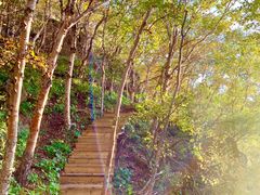 -白草畔自然风景区