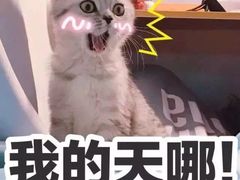 -王菊面馆(凤六店)