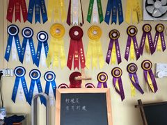 -柴犬高等学院·狗咖·柴犬售卖·宠物训练