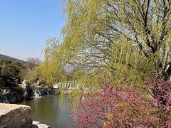 -北京西山国家森林公园