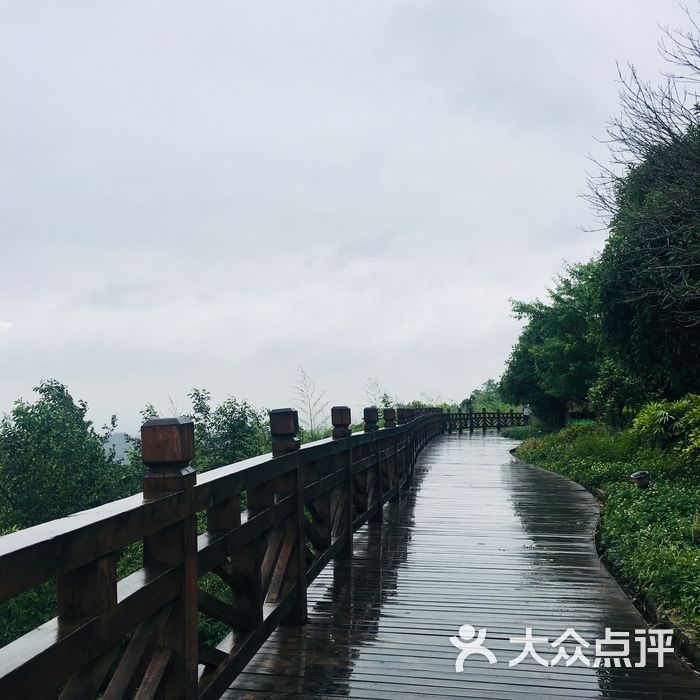 向峨乡自行车绿道石花观景台