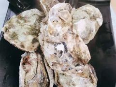 桑拿蠔-天宝食坊·啫啫煲大排档(西华路店)