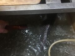 -松浦·观江国际