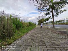 -春花秋色城市公园