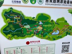 -西双版纳原始森林公园
