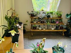 -中国科学院西双版纳热带植物园