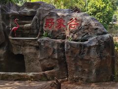 -野象谷景区