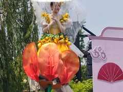 -荷兰花海