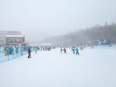 -亚布力新体委滑雪场