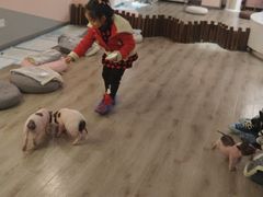 -浣熊柯尔鸭土拨鼠·电玩咖