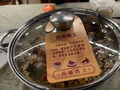 -百利鸽王(紫薇路店)