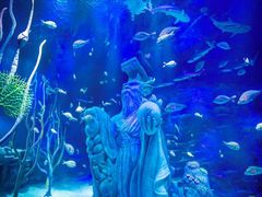 -沈阳海洋探索中心