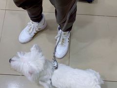 -汪星球宠物生活馆