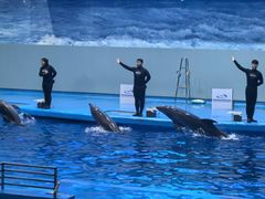 -福州罗源湾海洋世界旅游区