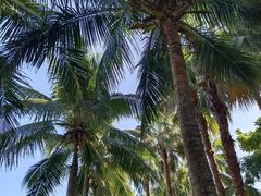 -海南清水湾莱佛士酒店