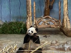 -海南热带野生动植物园