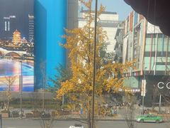 -小龙坎火锅(IFS HOT店)
