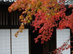 -醍醐寺