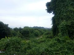 -长洲岛