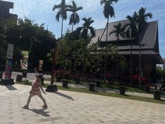 -亚马逊丛林水乐园