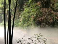 -川西竹海景区