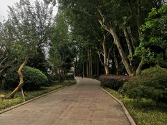 -上海醉白池公园